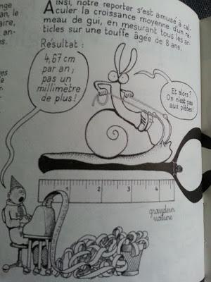 Mr Viscoglut, attaché aux feuillus Mr Viscoglut, attaché aux feuillus