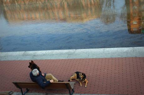 En déambulant, amoureusement, à Milan En déambulant, amoureusement, à Milan