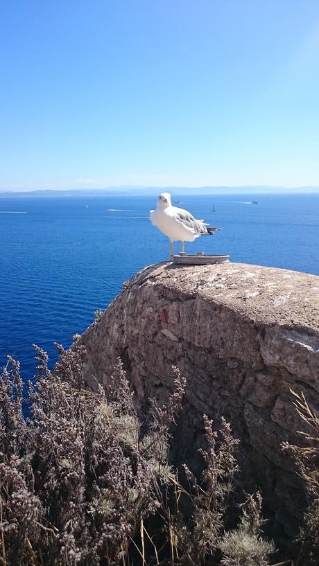 My Trip To Corsica #4 : Bonifacio My Trip To Corsica #4 : Bonifacio