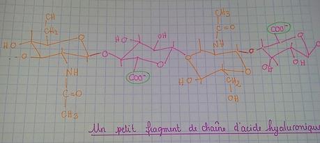 C’est quoi l’acide hyaluronique ? C’est quoi l’acide hyaluronique ?