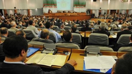 Les Algériens binationaux écartés des hauts postes dans le projet de nouvelle Constitution