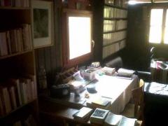 Pensées d'hiver 12654225_10208623853180625_6303800238126132029_n.jpg