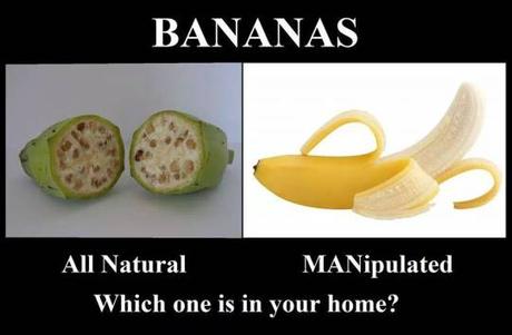 banane ogm