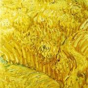 Expositions Giorgio Griffa & « Très Traits » à la  Fondation Vincent Van Gogh | Arles