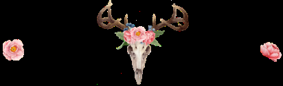 Supernatural – Valentine’s episode ! Supernatural – Valentine’s episode !