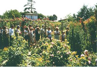 Découvrez le ‘Jardin Remarquable’ du château de Mongenan ! visite_mongenan