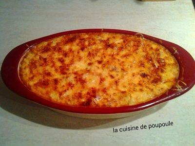 Gratin de fenouil au thermomix ou sans Gratin de fenouil au thermomix ou sans