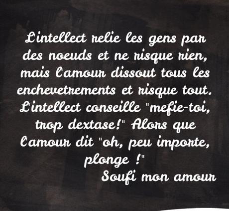 Lecture bonheur #1 : Soufi mon amour #mydreamcamber #happyreading #librarylove Lecture bonheur #1 : Soufi mon amour #mydreamcamber #happyreading #librarylove