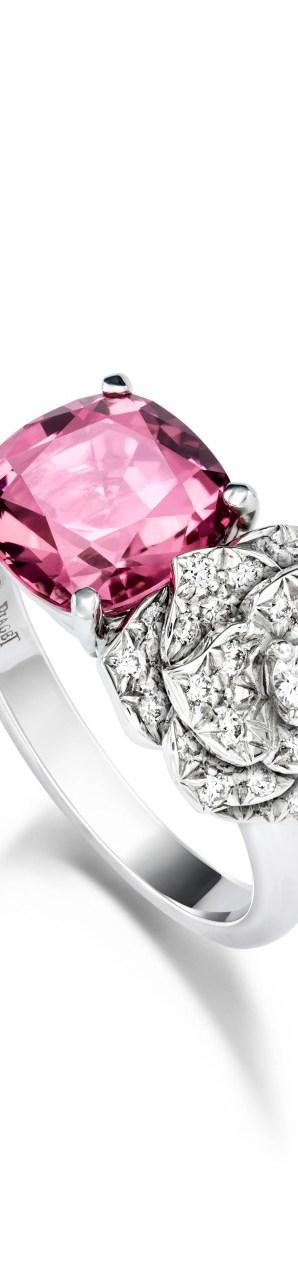 Piaget mécène de la Fondation AVEC Piaget mécène de la Fondation AVEC