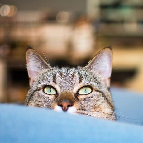 Les 10 commandements de la blogueuse Les 10 commandements de la blogueuse