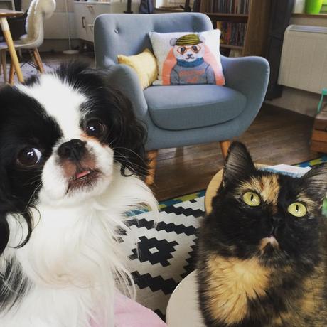 Les 10 commandements de la blogueuse Les 10 commandements de la blogueuse