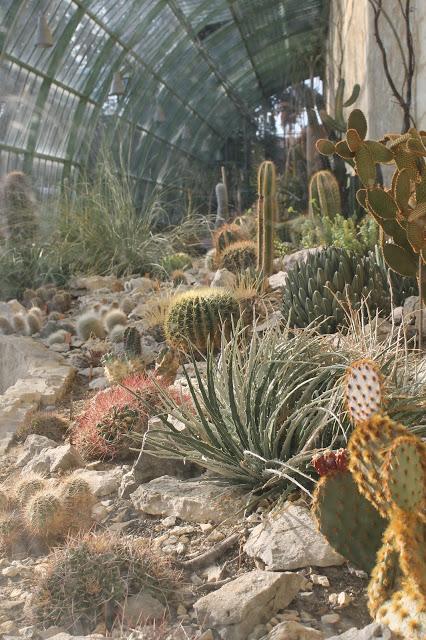 Au Jardin des Plantes de Montpellier en Février