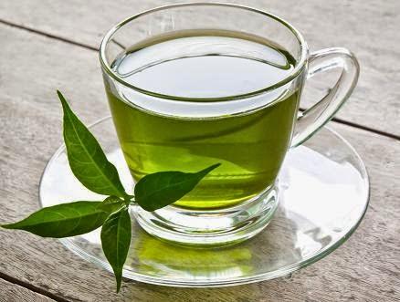 Les bienfaits du thé vert (Camellia sinensis)