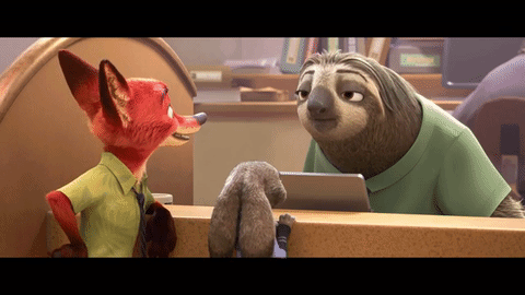 Cinéma : Zootopie, mon avis giphy