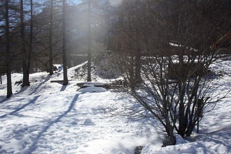 Famille nombreuse et vacances au ski: l'équation impossible? (quand la nostalgie s'en mêle...) Famille nombreuse et vacances au ski: l'équation impossible? (quand la nostalgie s'en mêle...)