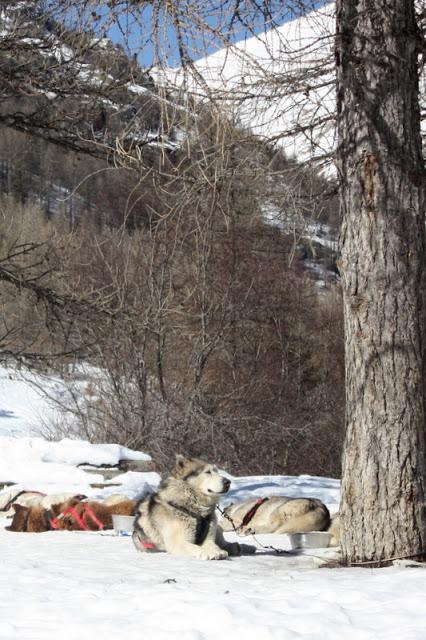 Famille nombreuse et vacances au ski: l'équation impossible? (quand la nostalgie s'en mêle...) Famille nombreuse et vacances au ski: l'équation impossible? (quand la nostalgie s'en mêle...)