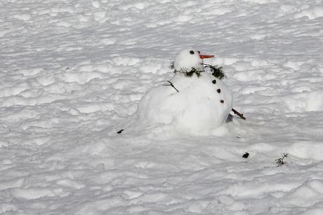 Famille nombreuse et vacances au ski: l'équation impossible? (quand la nostalgie s'en mêle...) Famille nombreuse et vacances au ski: l'équation impossible? (quand la nostalgie s'en mêle...)