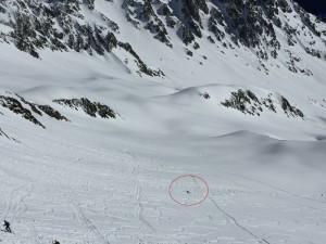 Oiseau du dimanche avalanche col bel oiseau