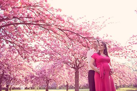 séance photo femme enceinte cerisiers en fleurs