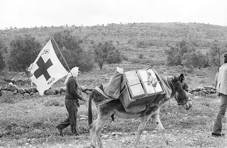 Dans les archives : connaissez-vous cette photo ? Sud du Liban.