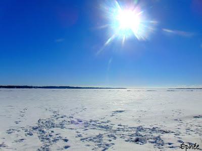 Tartinade au tahinini et au miso Tartinade au tahinini et au miso