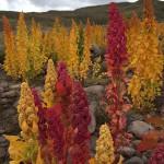 BEAUTE : le nouveau peeling de Kiehl’s BEAUTE : le nouveau peeling de Kiehl’s