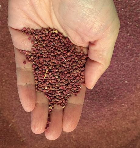 BEAUTE : le nouveau peeling de Kiehl’s IMG_7269