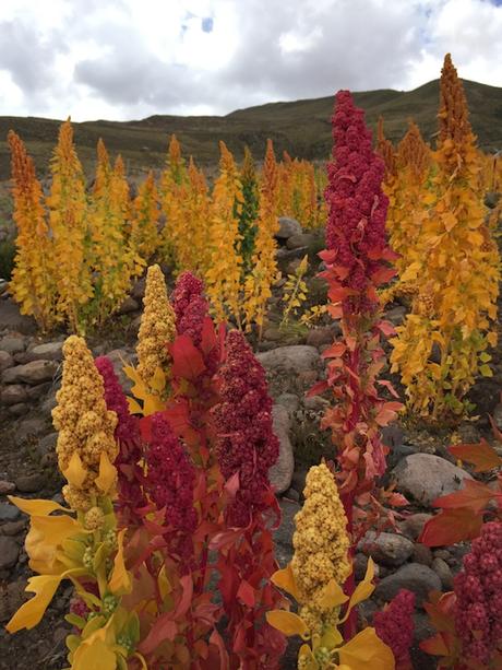 BEAUTE : le nouveau peeling de Kiehl’s IMG_7437