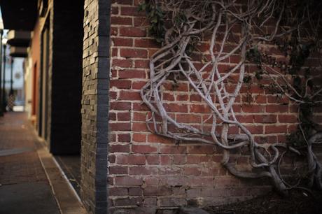 Comme convenu, la page 281 (+ photos). bloglaurel comics