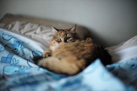 Comme convenu, la page 281 (+ photos). bloglaurel comics