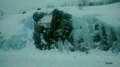 Virée au Wholefoods Virée au Wholefoods