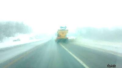 Virée au Wholefoods Virée au Wholefoods