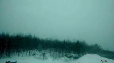 Virée au Wholefoods Virée au Wholefoods