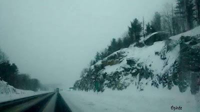 Virée au Wholefoods Virée au Wholefoods