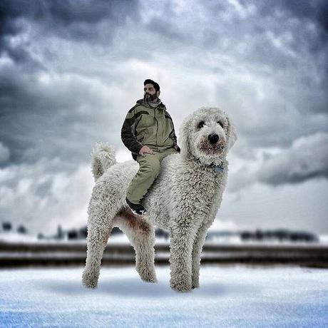 Ce photographe met en avant son chien dans des images incroyables ! Ce photographe met en avant son chien dans des images incroyables !