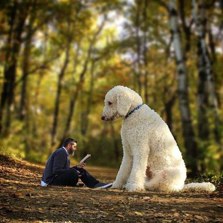 Ce photographe met en avant son chien dans des images incroyables ! Ce photographe met en avant son chien dans des images incroyables !