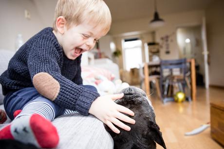 Avoir un chien Avoir un chien