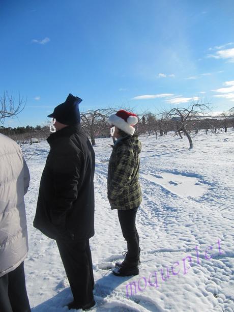 Canada - Cidrerie en Montégérie 2 Canada - Cidrerie en Montégérie 2