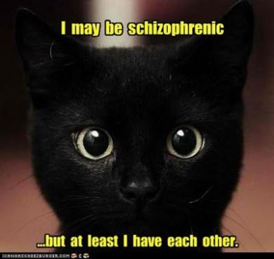 La schizophrénie n’est PAS un dédoublement de la personnalité 25930275930efbfd777c33856137b56d