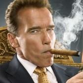 La Civette le Lotus rue de l’Arcade La Civette le Lotus rue de l’Arcade