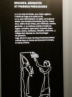 A la poursuite d'une culture... ou poursuite d'une culture...