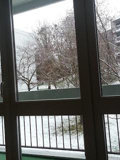 A la poursuite d'une culture... ou poursuite d'une culture...