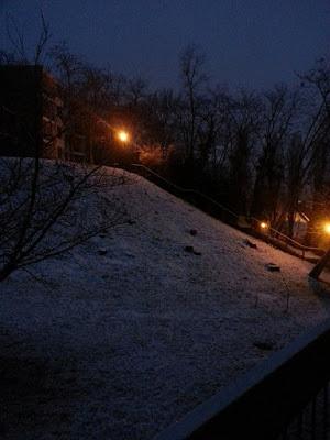 A la poursuite d'une culture... ou poursuite d'une culture...