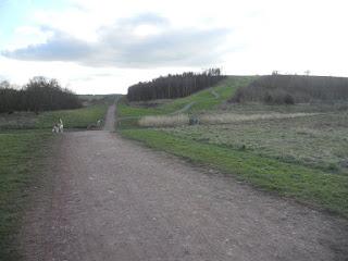 Incroyables promenades #2 -Kiveton Park- (photos + video). Incroyables promenades #2 -Kiveton Park- (photos + video).