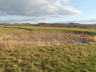 Incroyables promenades #2 -Kiveton Park- (photos + video). Incroyables promenades #2 -Kiveton Park- (photos + video).