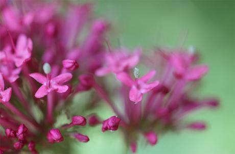 Défi Valériacr0 – mars 2016 (3 ans !) Défi Valériacr0 – mars 2016 (3 ans !)