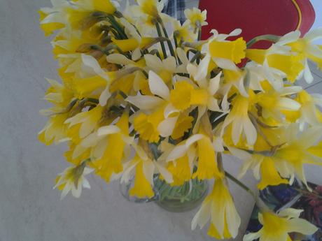 Nouille chinoise à la viande hachée et épinard Bouquet de jonquille de mon jardin