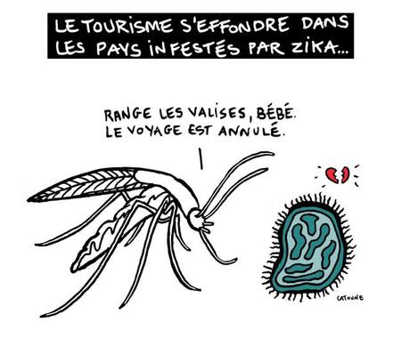 Le tourisme s’effondre dans les pays infestés par Zika Le tourisme s’effondre dans les pays infestés par Zika