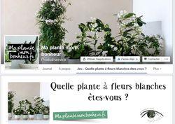 Ma plante mon bonheur 01 Ma plante mon bonheur 01