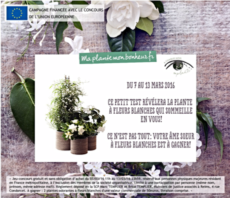 Ma plante mon bonheur 04 Ma plante mon bonheur 04